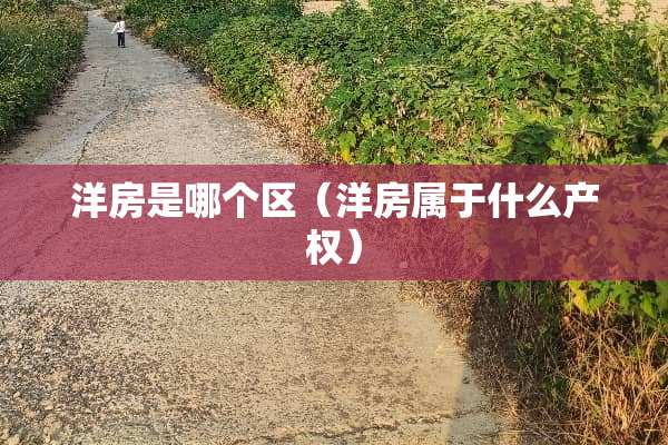 洋房是哪个区（洋房属于什么产权）