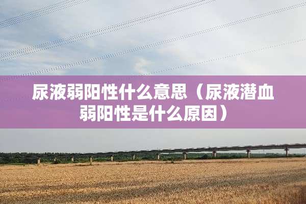 尿液弱阳性什么意思（尿液潜血弱阳性是什么原因）
