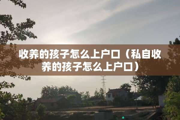 收养的孩子怎么上户口（私自收养的孩子怎么上户口）