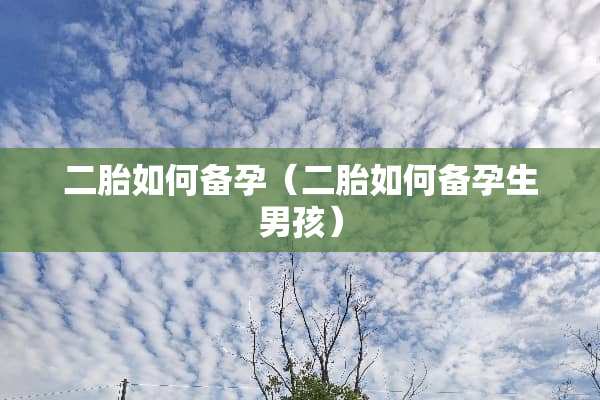 二胎如何备孕（二胎如何备孕生男孩）