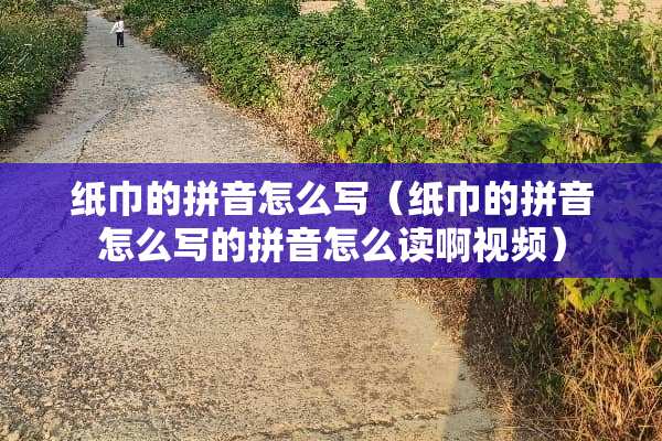纸巾的拼音怎么写（纸巾的拼音怎么写的拼音怎么读啊视频）