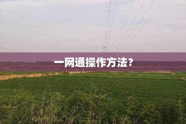 一网通操作方法？
