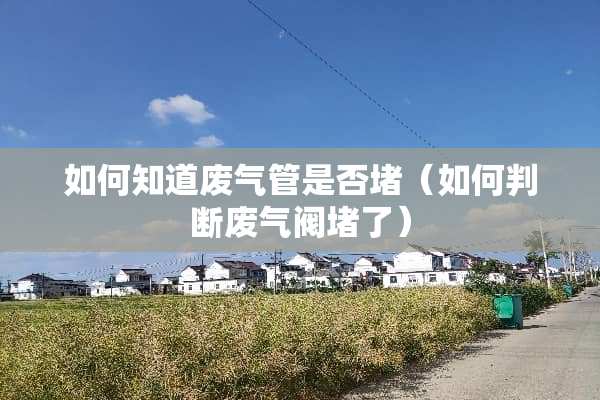 如何知道废气管是否堵（如何判断废气阀堵了）