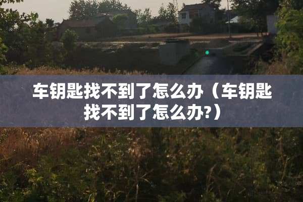 车钥匙找不到了怎么办（车钥匙找不到了怎么办?）