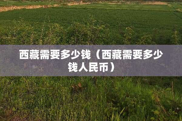 西藏需要多少钱（西藏需要多少钱人民币）