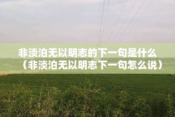 非淡泊无以明志的下一句是什么（非淡泊无以明志下一句怎么说）