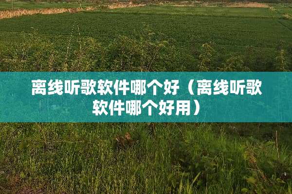 离线听歌软件哪个好（离线听歌软件哪个好用）