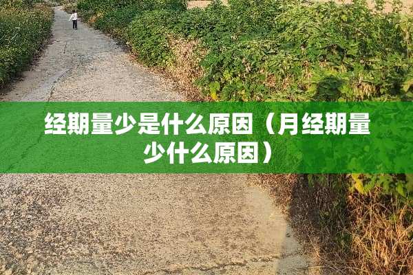 经期量少是什么原因（月经期量少什么原因）