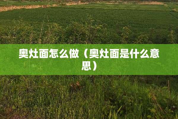 奥灶面怎么做（奥灶面是什么意思）