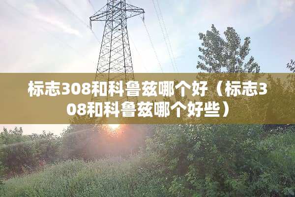 标志308和科鲁兹哪个好（标志308和科鲁兹哪个好些）