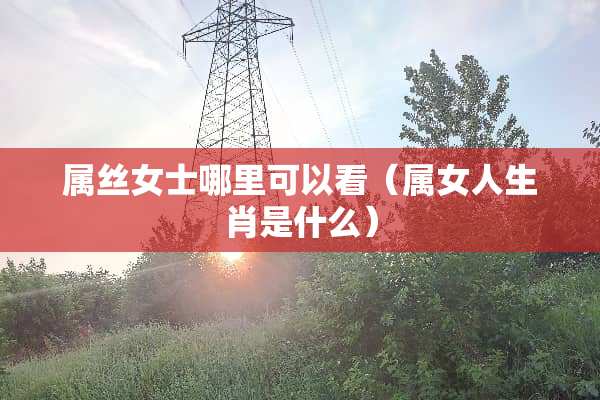 属丝女士哪里可以看（属女人生肖是什么）