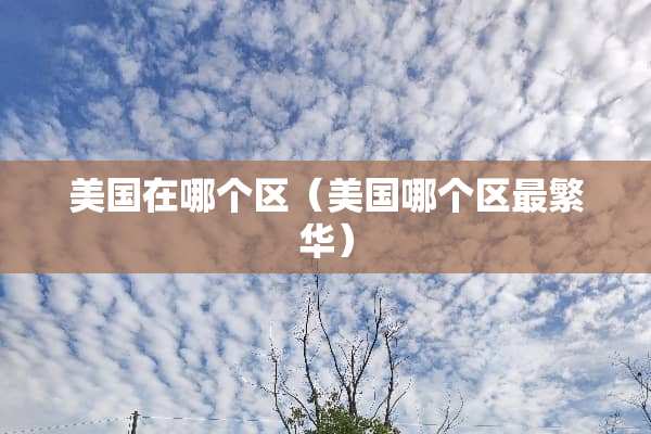 美国在哪个区（美国哪个区最繁华）