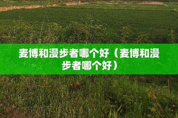 麦博和漫步者哪个好（麦博和漫步者哪个好）