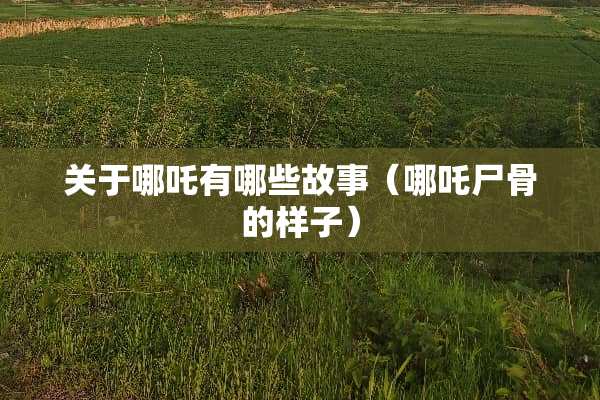 关于哪吒有哪些故事（哪吒尸骨的样子）