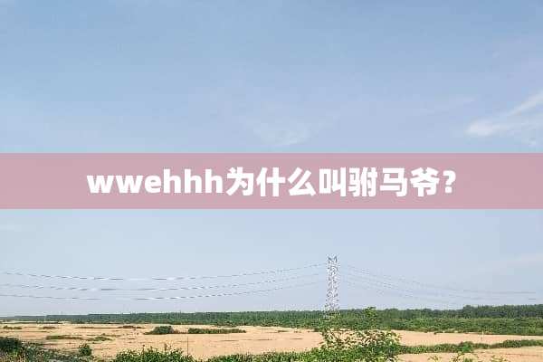 wwehhh为什么叫驸马爷？