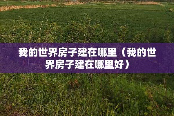 我的世界房子建在哪里（我的世界房子建在哪里好）