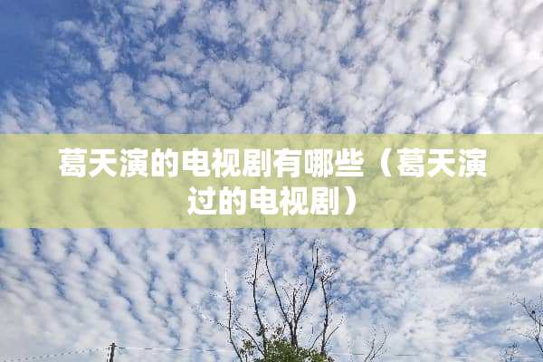 葛天演的电视剧有哪些（葛天演过的电视剧）