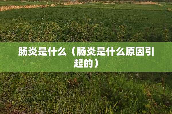 肠炎是什么（肠炎是什么原因引起的）