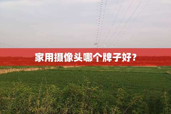 家用**头哪个牌子好？