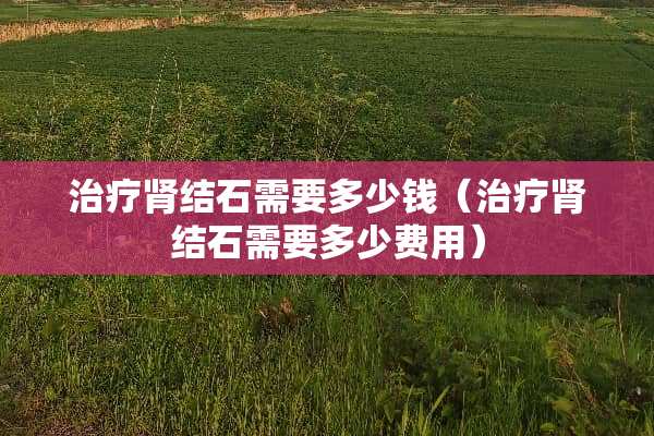 治疗肾结石需要多少钱（治疗肾结石需要多少费用）
