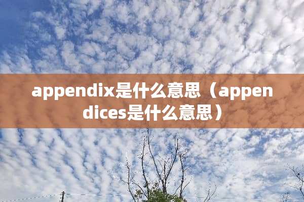 appendix是什么意思（appendices是什么意思）