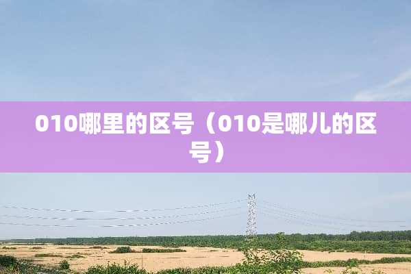 010哪里的区号（010是哪儿的区号）