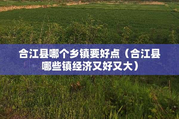 合江县哪个乡镇要好点（合江县哪些镇经济又好又大）