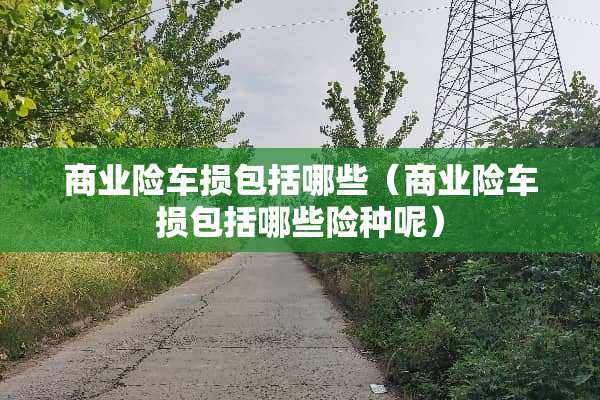 商业险车损包括哪些（商业险车损包括哪些险种呢）