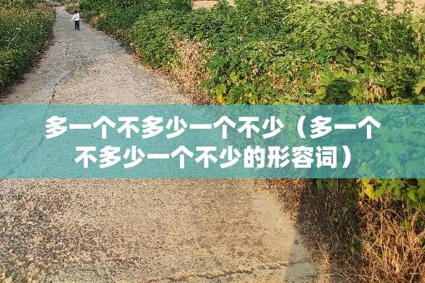 多一个不多少一个不少（多一个不多少一个不少的形容词）