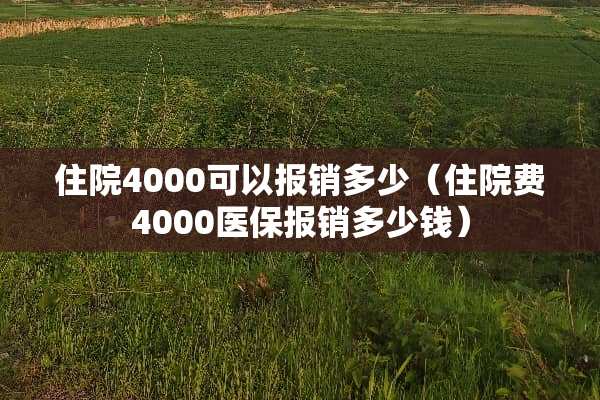 住院4000可以报销多少（住院费4000医保报销多少钱）