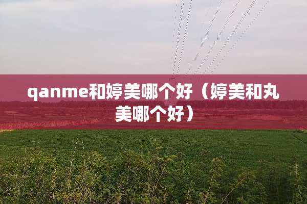 qanme和婷美哪个好（婷美和丸美哪个好）