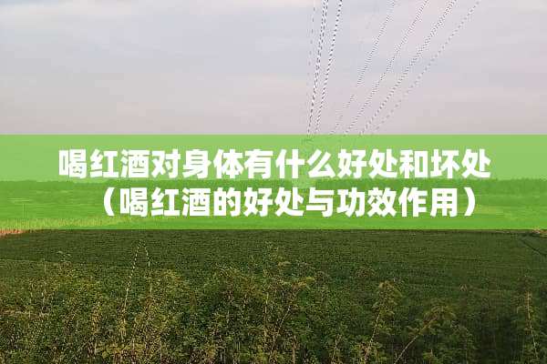喝红酒对身体有什么好处和坏处（喝红酒的好处与功效作用）