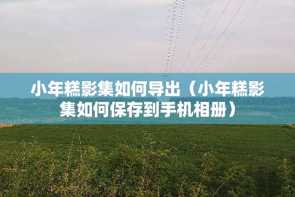 小年糕影集如何导出（小年糕影集如何保存到手机相册）