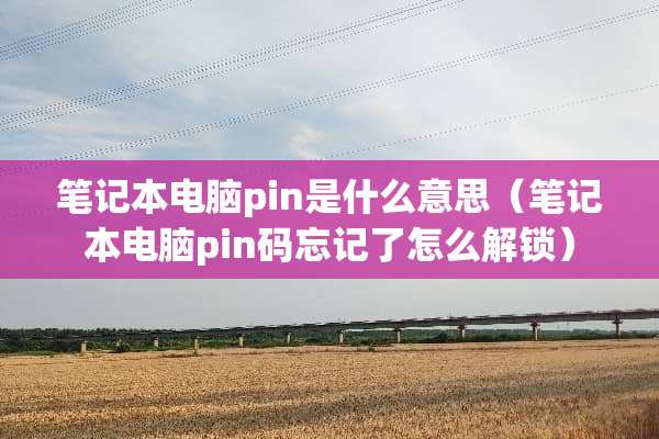 笔记本电脑pin是什么意思（笔记本电脑pin码忘记了怎么解锁）