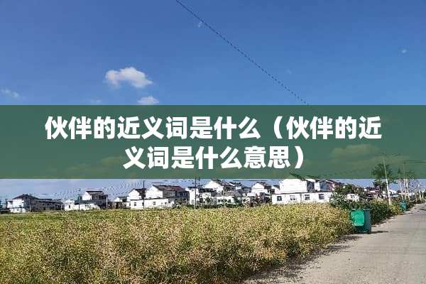 伙伴的近义词是什么（伙伴的近义词是什么意思）
