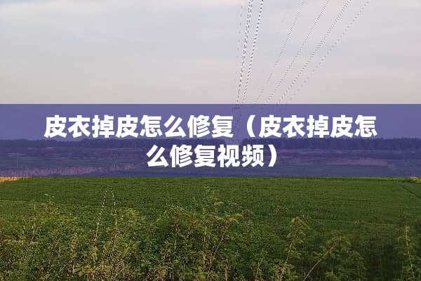 皮衣掉皮怎么修复（皮衣掉皮怎么修复视频）