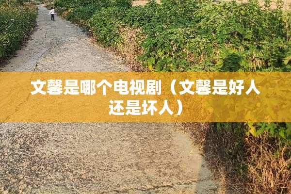 文馨是哪个电视剧（文馨是好人还是坏人）