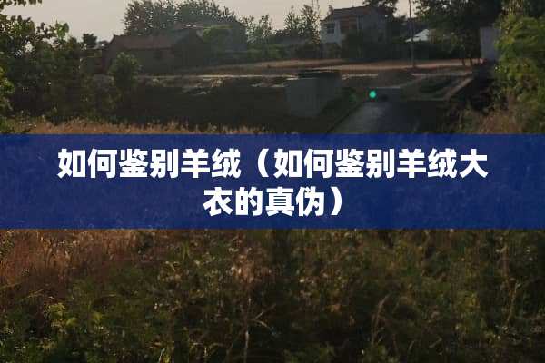 如何鉴别羊绒（如何鉴别羊绒大衣的真伪）
