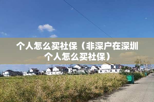 个人怎么买社保（非深户在深圳个人怎么买社保）