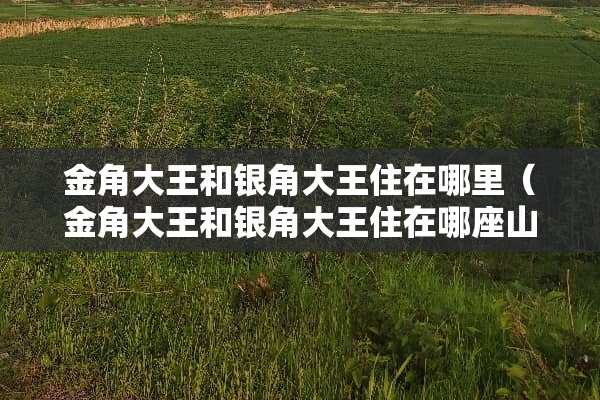 金角大王和银角大王住在哪里（金角大王和银角大王住在哪座山上）