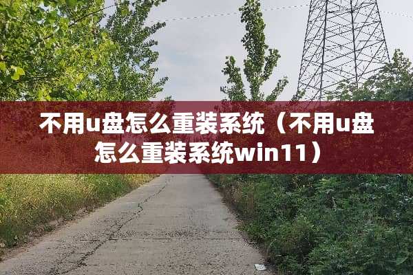 不用u盘怎么重装系统（不用u盘怎么重装系统win11）