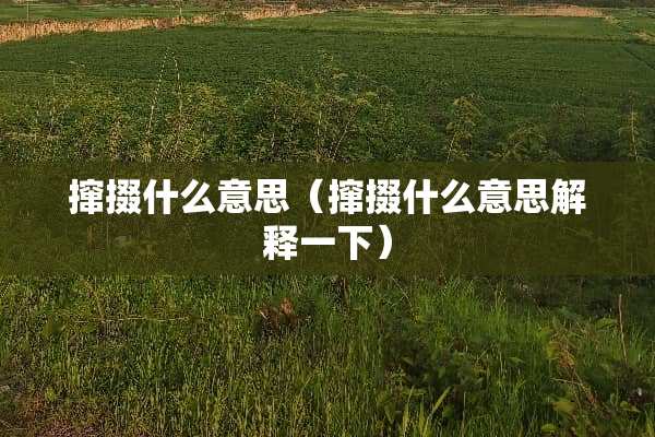 撺掇什么意思（撺掇什么意思解释一下）