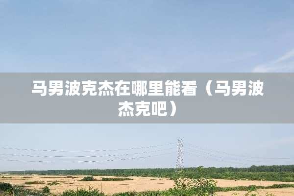 马男波克杰在哪里能看（马男波杰克吧）
