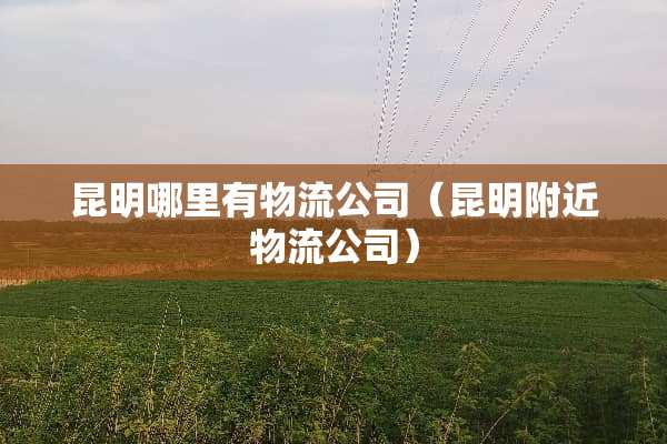 昆明哪里有物流公司（昆明附近物流公司）