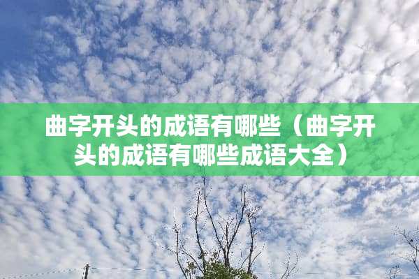 曲字开头的成语有哪些（曲字开头的成语有哪些成语大全）