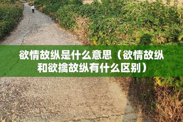欲情故纵是什么意思（欲情故纵和欲擒故纵有什么区别）