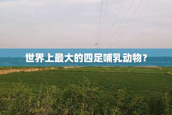 世界上最大的四足哺*动物？