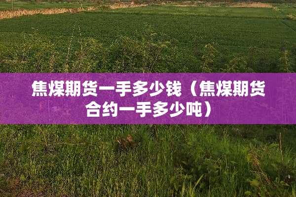 焦煤期货一手多少钱（焦煤期货合约一手多少吨）