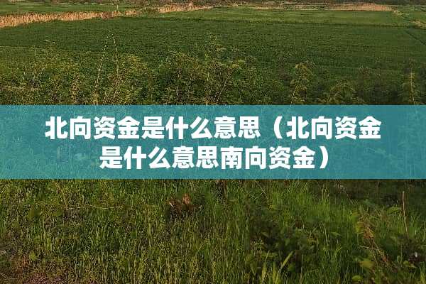 北向资金是什么意思（北向资金是什么意思南向资金）