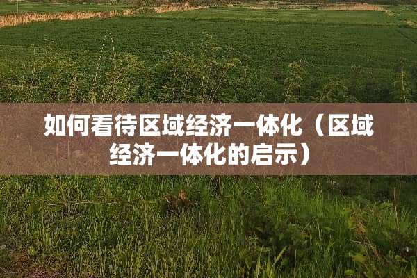 如何看待区域经济一体化（区域经济一体化的启示）